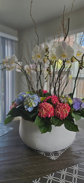 Orchid and Hydrangea Live Potted Plant