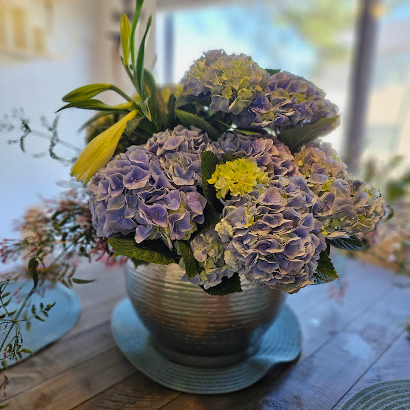Hydrangea and Jasmine Potted Plant