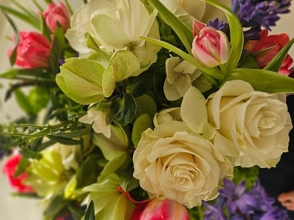 White Roses and Hellebores